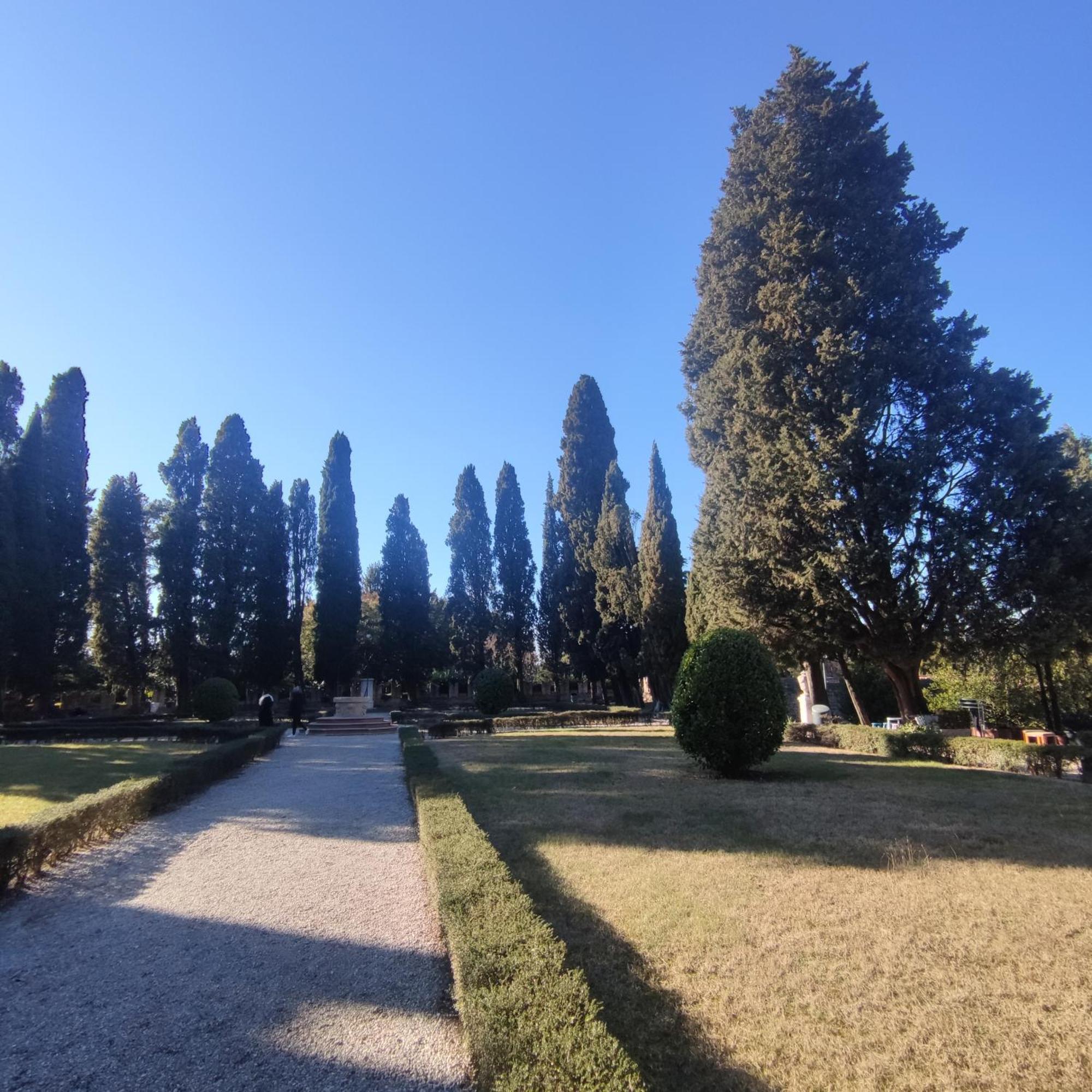 Bbconegliano Borlini公寓 外观 照片
